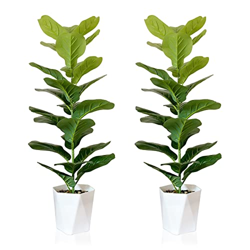 SAJANDAS 2er Set Kunstpflanze Geigenfeige mit Töpfen, 80 cm Künstliche Pflanzen Ficus Lyrata mit Grüne Blätter und Stielen, Faux Fiddle Leaf Pflanzen für Zuhause Büro Deko