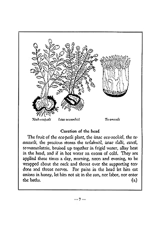 An Aztec Herbal: The Classic Codex of 1552 - Image 4