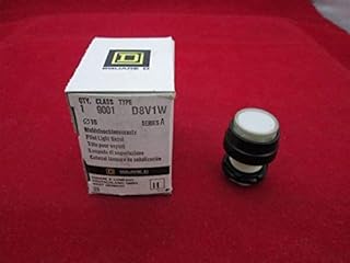 Square D Pilot Light Bazel 9001 D8V1W New