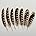 pheasant feather5