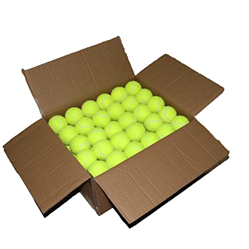 ZHUOKECE - Juego de 90 pelotas de tenis de entrenamiento, pelotas de práctica, pelotas de juego para perros y mascotas, aptas para principiantes (verde)