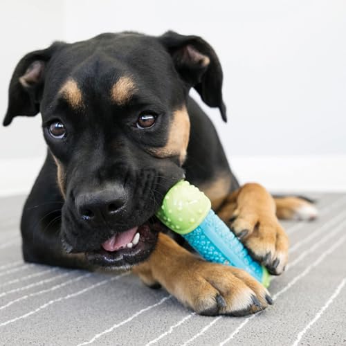 image for KONG CoreStrength Ball - Dog Dental Chew Toy - Durable, Multi-Layered 