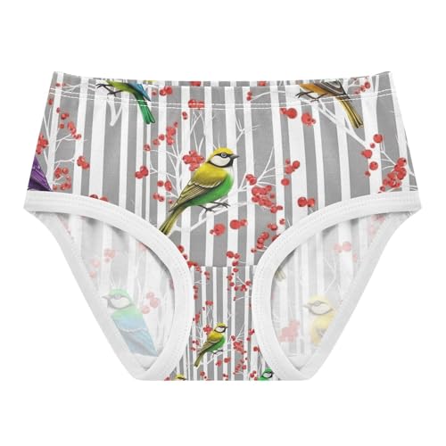 Colorful Birds White Branches Underwear Toddler Girl, Girls' Cotton Brief Underwear, 2T–8 Years