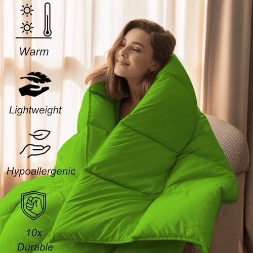 Image of Queen Size Comforter Set - All Season Down Alternative Bedding Comforter Set - Quilted Duvet Insert with Corner Tabs - Box Stitched Blanket - Breathable, Soft - Parrot Green