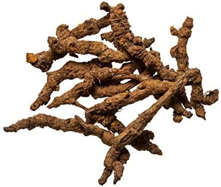 Coptis Rhizome Chinese Herb | Huang Lian Herb - Used Clinically as Broad Spectrum Antibiotic or Clears Heat and Stops Bleeding (1 Lb)