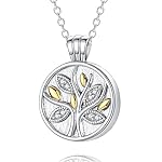 Urn Necklace for Women for Ashes: 925 Sterling Silver Cremation Necklace for Human & Pet Ashes - Memorial Jewelry Hold Loved Ones's Ashes, Keepsake Gifts for Women 3
