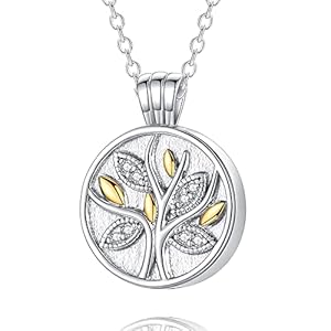 Urn Necklace for Women for Ashes: 925 Sterling Silver Cremation Necklace for Human & Pet Ashes – Memorial Jewelry Hold Loved Ones’s Ashes, Keepsake Gifts for Women