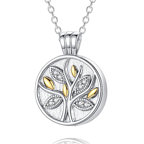 Urn Necklace for Women for Ashes: 925 Sterling Silver Cremation Necklace for Human & Pet Ashes - Memorial Jewelry Hold Loved Ones's Ashes, Keepsake Gifts for Women 1