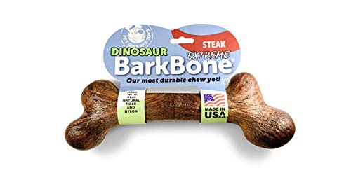 Pet Qwerks Extreme Dinosaur BarkBone Steak Flavor - Tough Chew Toy for Extremely