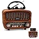 Retro Radio mit Bluetooth 5.0, AM/FM/SW Retro, Nostalgie Klein, Kofferradio Küchenradio mit großem 5-W-Lautsprecher, Unterstützt USB/TF/TWS Funktion, Einfaches Radio für Senioren (Braun)