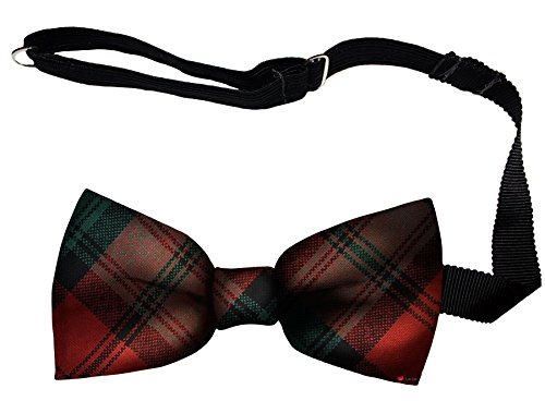 Noeud papillon homme fixation facile sangle réglable en laine douce