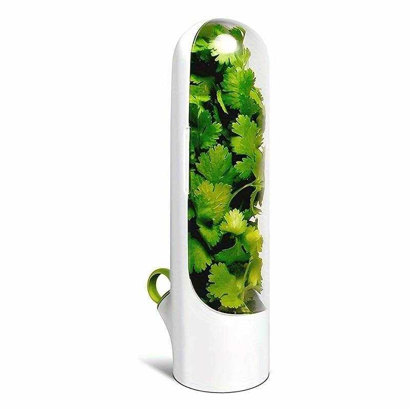 Cápsula de conservación de hierbas frescas para frigorífico, Recipiente conservador de hierbas, 25 cm longitud, Apto para menta, perejil, cebollino, romero, orégano, tomillo, eneldo