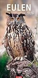 Eulen Kalender 2026: Hochformat mit einzigartigen Eulenfotos. Wandkalender 2026. Greifvögel in faszinierenden Fotos. Eulen-Kalender im Großformat, 33 x 68 cm (Tierkalender Weingarten)