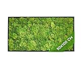 JELLE & JACOB Künstliche Pflanzenwand Moosbild XXL, Moos Bild mit Rahmen Kunststoff Schwarz 50x100 cm, Moosbilder pflegeleicht & langlebig, Mooswand Indoor & Outdoor, Pflanzenbild, Greenwall