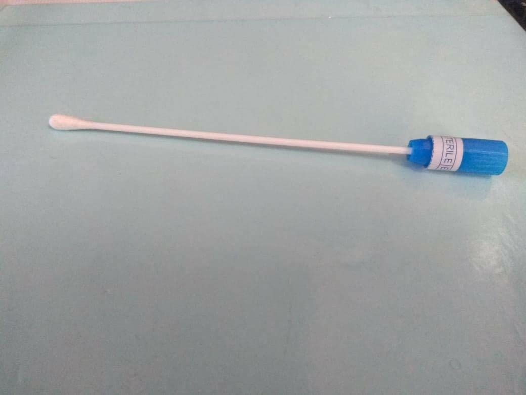 Varillas de hisopo esterilizadas de madera en tubos de plástico (paquete de 200)