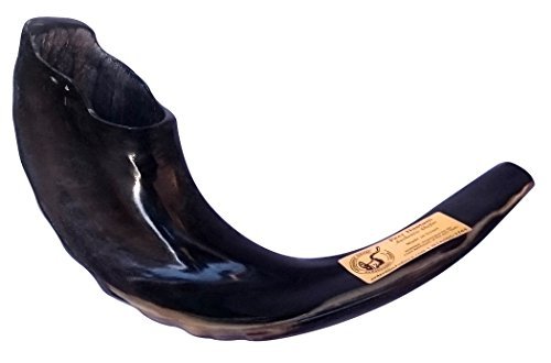15 Inch Kosher Black Rams Horn Polished Shofar by Peer Hastam®
