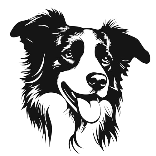 AMA SHOP Aufkleber für Hunde, Motiv: Border Collie, Modell 3, Farbe Schwarz, geeignet für Auto- und Motorradhelm, Aufkleber, 10 cm