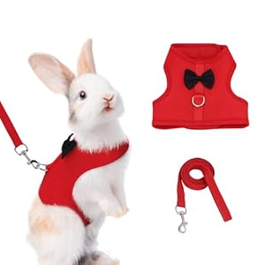 AIITLE Rabbit Harness and Leash Set with Cute Bow, Christmas Soft Breathable Mesh Vest Harness for Rabbits Kitten Ferret Puppy Small Pets Walking Supplies Red S