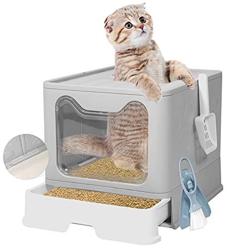 Top 10 Clevercat Top Entry Litter Boxes of 2022 Best Reviews Guide