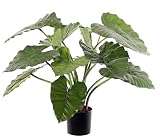 artplants.de Fausse Plante Alocasia Calidora Yonce, Vert, 60cm - Plante Artificielle