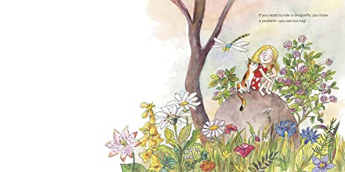 How to Ride a Dragonfly - Image 2