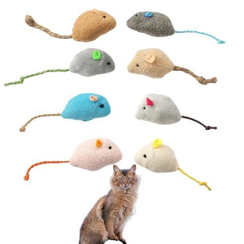 Lifetips \} Somali Lp lY~ʂ 8Zbg qL L V XgXU ^s ӂӂf L炵  ybgObY