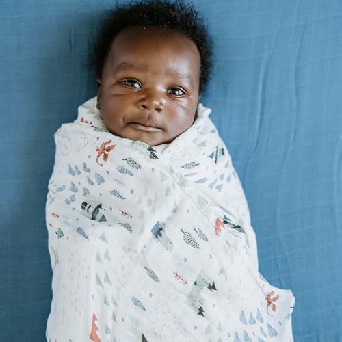 Image of Little Unicorn Deluxe Swaddle | Single | 100% Rayon Muslin from Bamboo | Super Soft | Newborns and Infants | Large 47 inch x 47 inch | Machine Washable (Dragon Days)