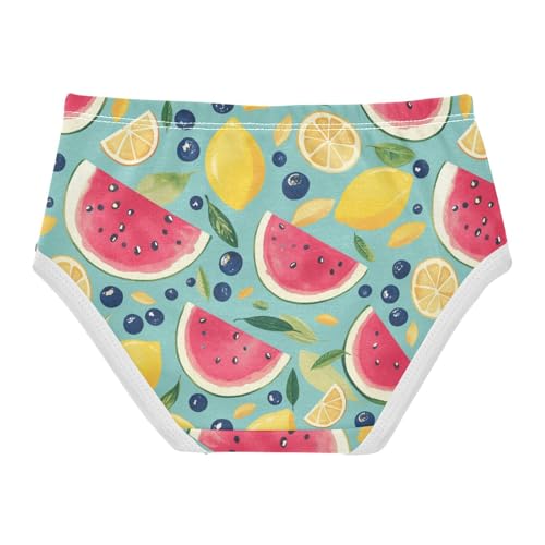 Wusikd Watermelon Lemons Girls' Underwear Cotton Blueberries Girls Briefs Soft Toddler Underwear 2T2