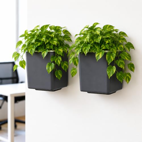 Image of Indian Discovery Self Watering Wall Hanging Planter|Hanging /Hooked Flower Pots for Home, Balcony, Vertical Garden Decor Flower Pots(2 PC, Grey, Square) |6 Inch UV-Resistant Plastic Plant Pots