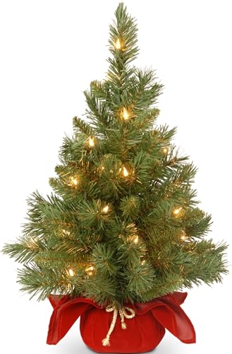 National Tree Company 24in Pre-Lit Majestic Fir...
