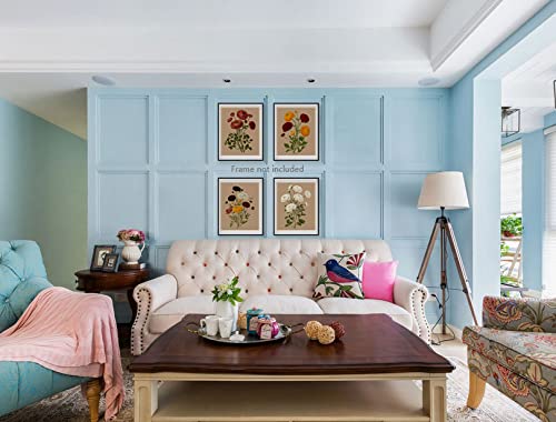 Ranunculus Flowers Canvas Wall Art Print,Vintage Floral Botanical Decor For Home Office School, Antique Botany Poster, Garden Nature Plant Flowers Painting ,Set Of 4 ( 8 X 10 In) Unframed #TOP4