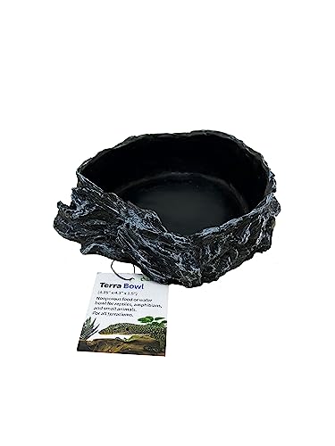 The Bio Dude Terra Water and Food Bowl for Reptiles, Amphibians, Small Mammals and Arachnids. Looks Natural and Animal Safe