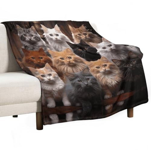 Couverture en molleton confortable pour éliminer les frissons du soir - 2