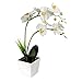 Produktbild LEDMOMO 9 LED batteriebetriebene Lampe mit künstlicher Orchideenlampe im Blumentopf mit Blumen Dekoration Haus (weiß)