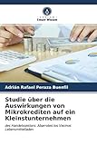Studie über die Auswirkungen von Mikrokrediten auf ein Kleinstunternehmen: des Handelssektors: Abarrotes los Vecinos Lebensmittelladen