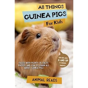 All Things Guinea Pigs For Kids Filled With Plenty of Facts Photos and Fun to Learn all About Guinea Pigs Paperback Large Print June 19 2023