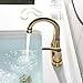 PARLOS Swivel Spout 2-Handle Bathroom Faucet Brushed Gold with Pop-up Drain & Supply Lines, Demeter 1362708