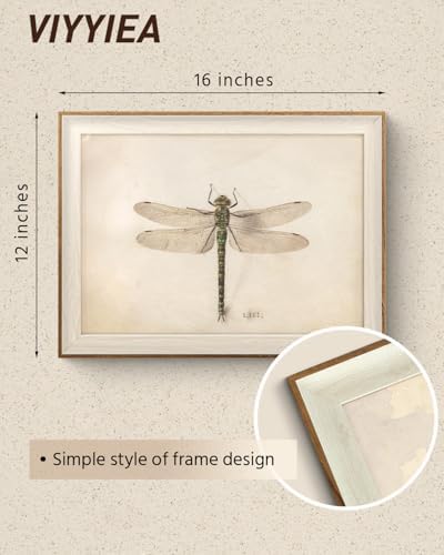 VIYYIEA Framed Wall Art for Living Room, Green Dragonfly Canvas Prints, Vintage Home Decor, Print Framed Painting Picture, Study Wall Decor Gifts for Friends or Family - 16L x 12W - 4