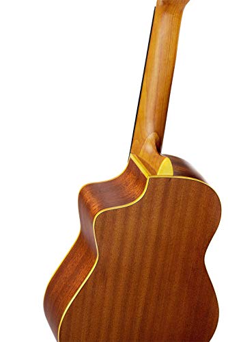Ortega Guitars Requinto Series Pro 6 String Acoustic Guitar, Right (RQ39) - Image 7