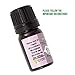 Energy Cleansing Palo Santo Essential Oil - 100% Pure - Sustainably Sourced - Highest Grade Aromatherapy Oil - 5ml (1/6oz)