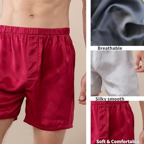 HOUDE Men's 100% mulberry silk boxer briefs,breathable,silky smooth, comfortable and luxurious,3