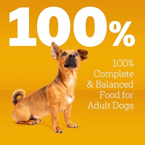 Image of Pedigree Complete Nutrition Adult Small Dog Dry Dog Food, Roasted Chicken, Rice & Vegetable Flavor, 3.5 lb. Bag