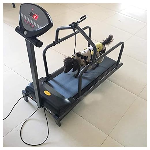 OBODN Pet Loopband Dier Loopband Hond Levert Puppy Loopband, Huisdier Fitness Apparatuur Met Display Screen Zeer Stille Werking