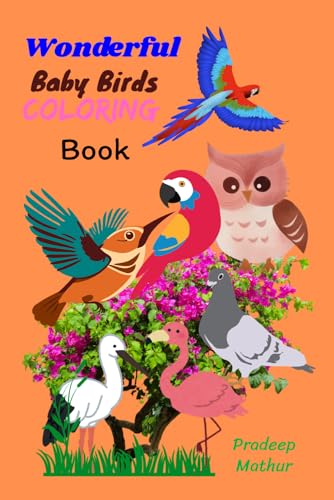 Livre de coloriage oiseaux pour apprendre les formes sans frustration - 2