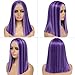 Alileona Shoulder Length Wig Purple Straight Synthetic Bob Wigs FPurple 14 Inch Wig Halloween Heat Resistant Straight Synthetic Hair