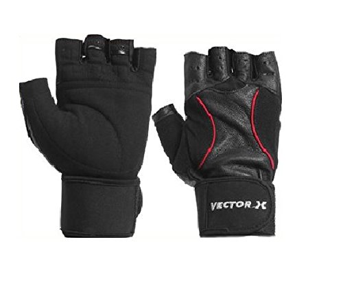 Vector X VX-800 Fitness Gloves, Medium (B00IOPL9JE) Amazon Price History, Amazon Price Tracker
