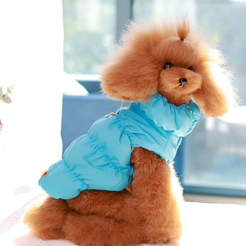 [GIIPET]���� �_�E���x�X�g ���ȓ��� �y�b�g �R�[�g �H�~ D�J���t�� ���킢�� �L�� �~�� ��V�ѕ� �h? �h���R�[�g �_�E���W���P�b�g ���{�A �g���� �����΍� �q�� �`���� �E�ѕی� ���U�� ���^�� ���^�� �q�� �L�p