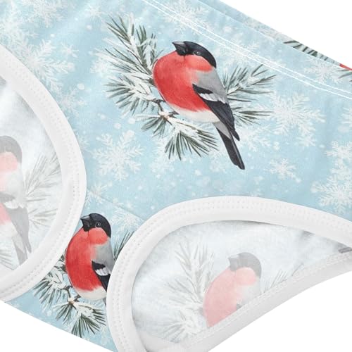 Girls Underwear Toddlers 2t Cotton Cute Panties Girl Print Briefs Undies Kids Cute Red Bullfinch Birds Winter4