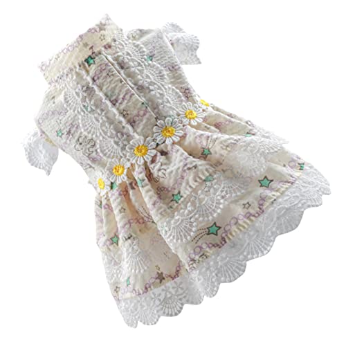 MOTHNUR ^py hX ŉKȃybg 킢vZXXJ[g po s p[eB[