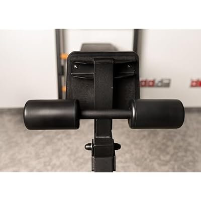 BenchK 223B Wallbars, Stall Bars, Swedish Ladder, Gymnastic Ladder with Fixed Steel 6-Grip Pull Up Bar, Chin Up Bar, Dip Bar, Dip Station with Polyurethane Back Support and Advanced Workout Bench